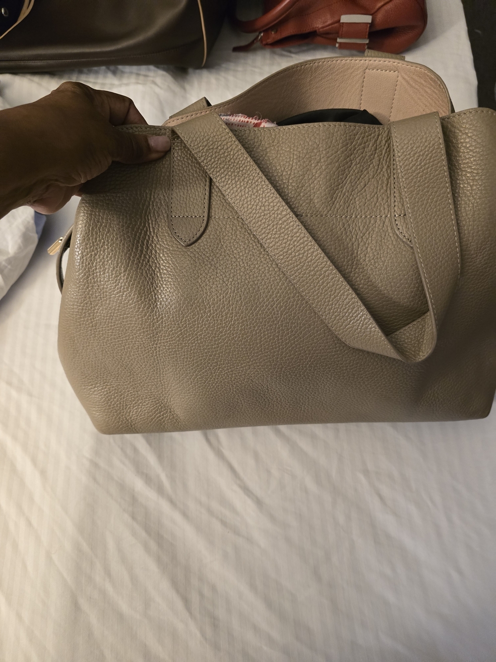 Cuyana Taupe Pebbled Leather Tote